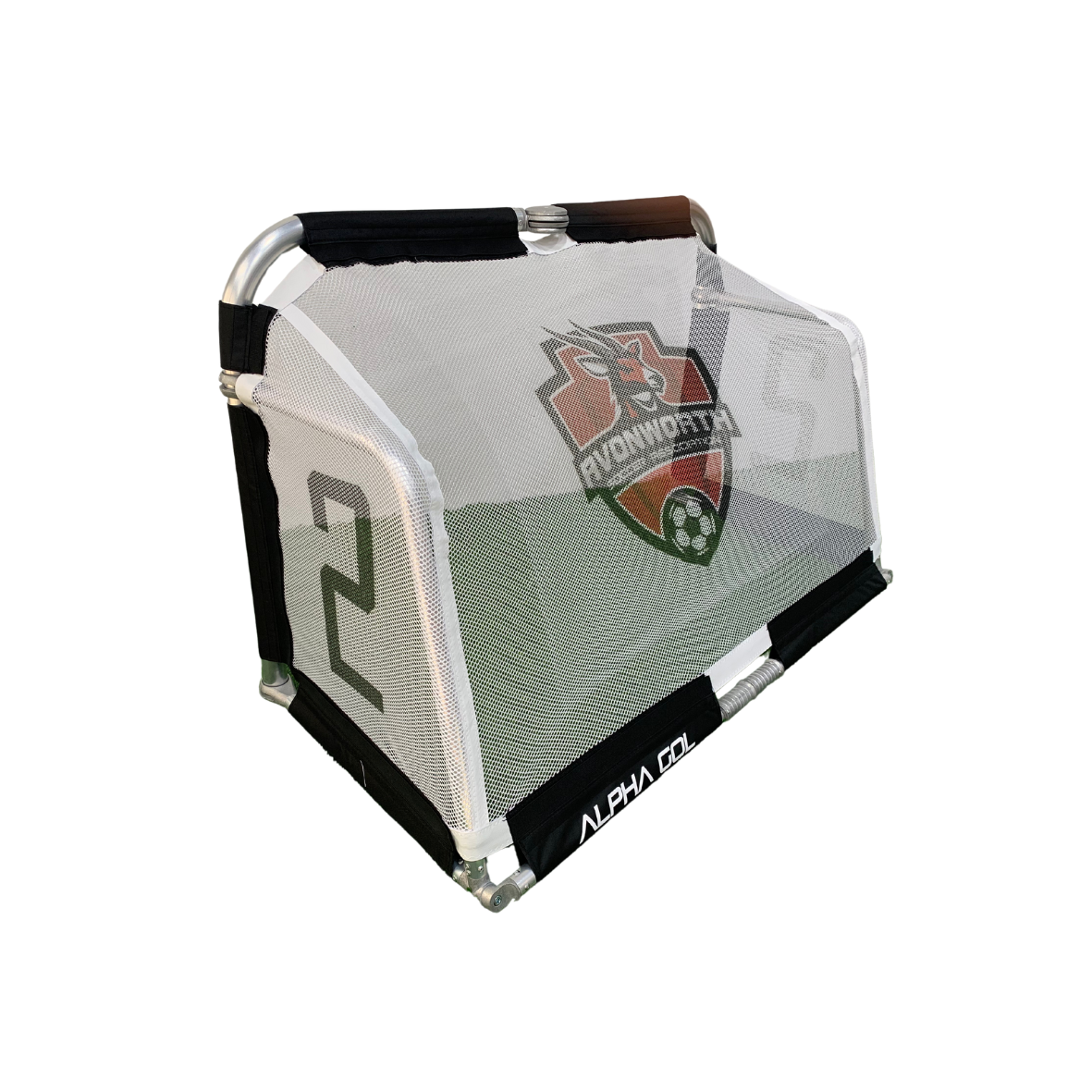 Custom Net For Alpha Gol