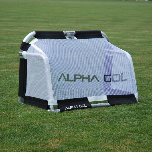 Black folding soccer goal on grass, back view, silver aluminum frame with white mesh netting