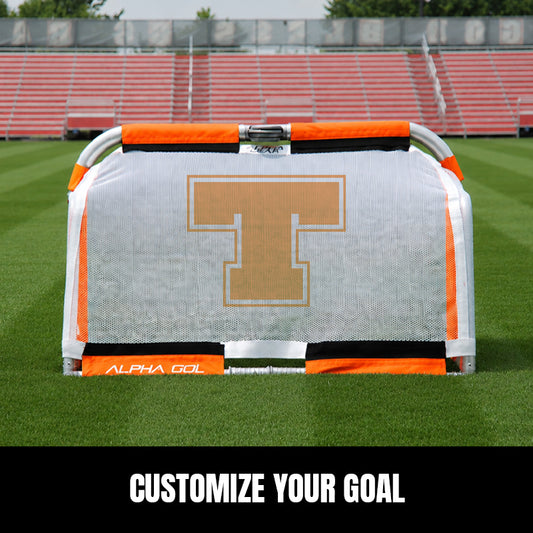 Custom Net For Alpha Gol